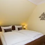 Haus-Seemoewe